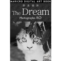 野良猫詩 The Dream