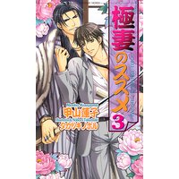 極妻のススメ3