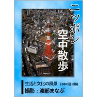 ニッポン空中散歩 生活と文化の風景〈日本の道・橋〉