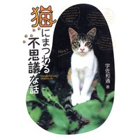 猫にまつわる不思議な話