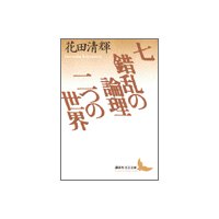 七・錯乱の論理・二つの世界