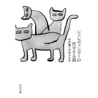 �����ǥ��󥬡���ů�ؤ���ǭ