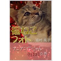 福ねこフォト〜プニプニ猫にゃん クリスマスの巻(1)