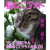 福ねこフォト〜プニプニ猫にゃん 冬は寒くてツライの巻(2)