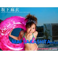 �≺���߃f�W�^���ʐ^�WVol�D2