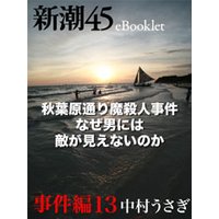 秋葉原通り魔殺人事件 なぜ男には敵が見えないのか―新潮45eBooklet 事件編13