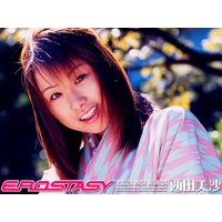 EROSTASY vol�D24�@���c����