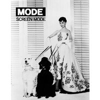 Screen Mode