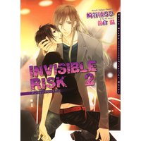 INVISIBLE RISK 2