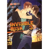 INVISIBLE RISK 3