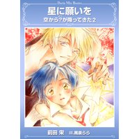 星に願いを 空から?(ナニ)が降ってきた2
