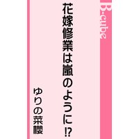 花嫁修業は嵐のように!?
