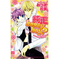 純正honeyboy?