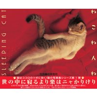 ねこねんね