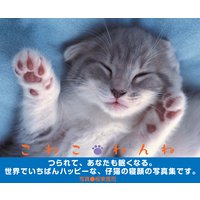 こねこねんね