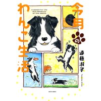 今月のわんこ生活