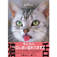 猫舌