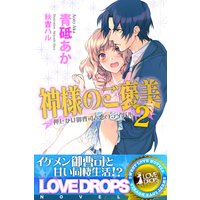 神様のご褒美2 押しかけ御曹司と恋のライバル