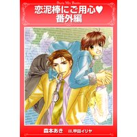 恋泥棒にご用心・番外編