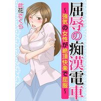 屈辱の痴漢電車〜強気の女性が絶頂快楽で屈服〜