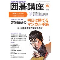 NHK �ϸ�ֺ¡�2013ǯ6���