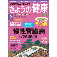 NHK ���礦�η򹯡�2013ǯ6���