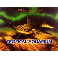 TROPICAL AQUARIUM vol��3