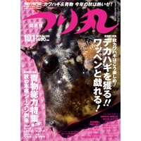 つり丸 2013年 10/1号