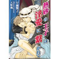 熱砂の王子は淫愛に繋がれて