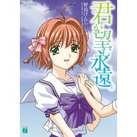 君が望む永遠 1