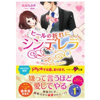 ヒールの折れたシンデレラ