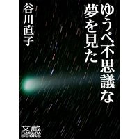 ゆうべ不思議な夢を見た 第十三夜