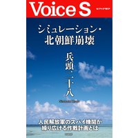 シミュレーション・北朝鮮崩壊 【Voice S】