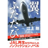 翼、ふたたび