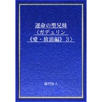 運命の聖兄妹〈ガデュリン《愛・放浪編》3〉