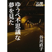 ゆうべ不思議な夢を見た 第十七夜