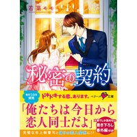 秘密の契約 ベリーズ文庫版