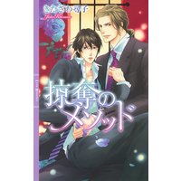 掠奪のメソッド