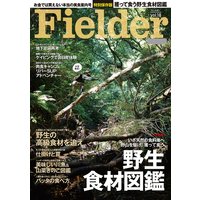 Fielder vol.18