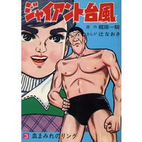 ジャイアント台風3