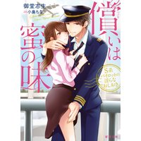 償いは蜜の味 S系パイロットの淫らなおしおき