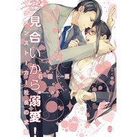 お見合いから溺愛! イケメンストーカー社長の求婚【イラスト付】