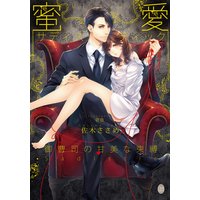 蜜愛サディスティック 御曹司の甘美な束縛【イラスト付】