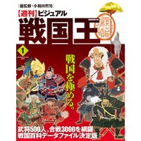 ビジュアル戦国王1号