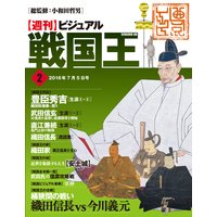 ビジュアル戦国王2号