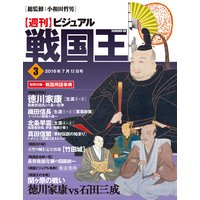 ビジュアル戦国王3号