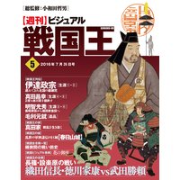 ビジュアル戦国王5号