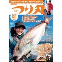 つり丸 2017年 12/1号