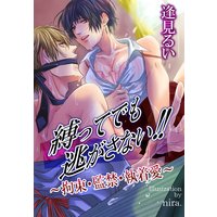 縛ってでも逃がさない〜拘束・監禁・執着愛〜