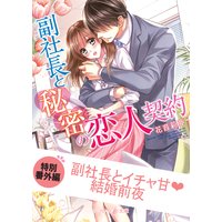 副社長とイチャ甘結婚前夜 副社長と秘密の恋人契約 【特別番外編】